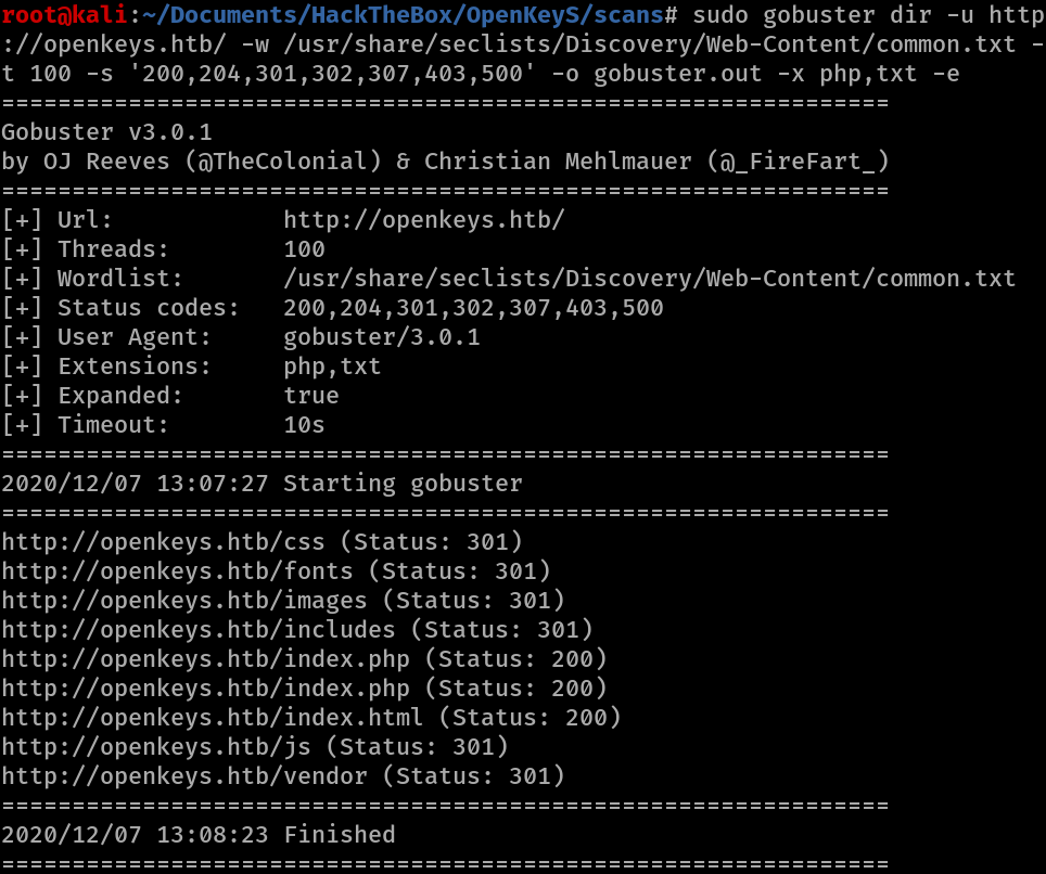 Image of gobuster scan